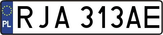 RJA313AE