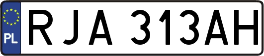 RJA313AH
