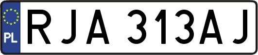 RJA313AJ
