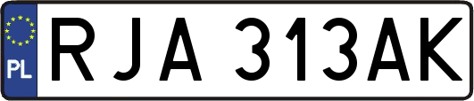 RJA313AK