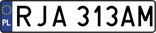 RJA313AM