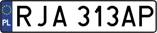 RJA313AP