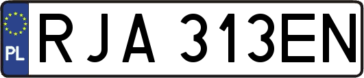 RJA313EN