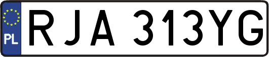 RJA313YG