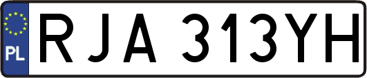 RJA313YH