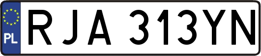 RJA313YN
