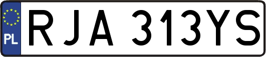 RJA313YS
