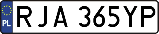 RJA365YP