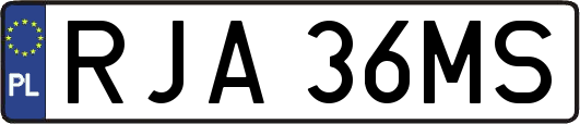 RJA36MS