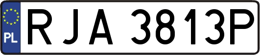RJA3813P