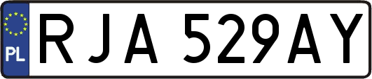 RJA529AY