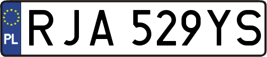 RJA529YS