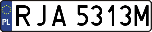 RJA5313M