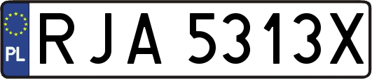 RJA5313X