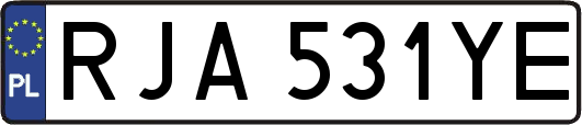 RJA531YE