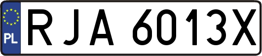 RJA6013X