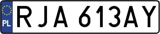 RJA613AY