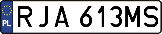 RJA613MS