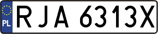 RJA6313X