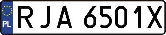 RJA6501X