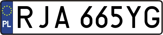 RJA665YG