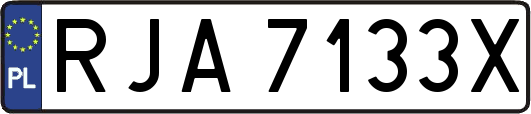RJA7133X