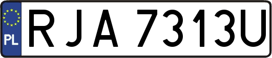 RJA7313U