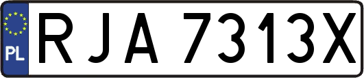 RJA7313X