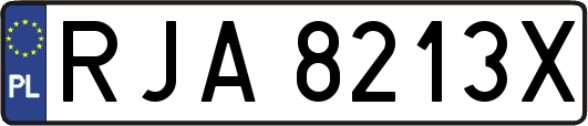 RJA8213X