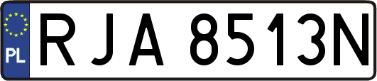 RJA8513N