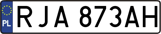RJA873AH