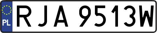 RJA9513W