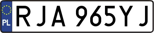 RJA965YJ