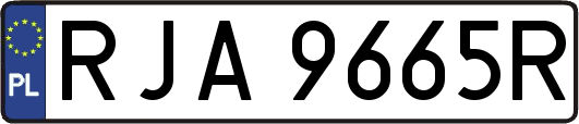 RJA9665R