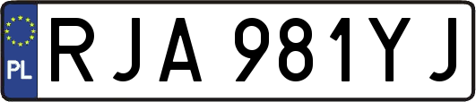 RJA981YJ