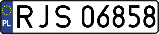 RJS06858