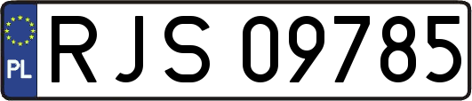 RJS09785