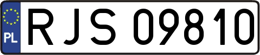 RJS09810