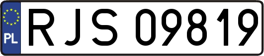 RJS09819