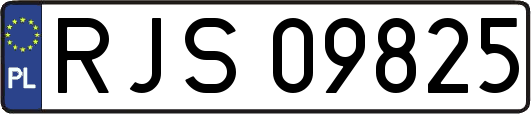 RJS09825