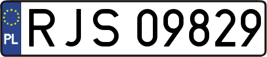 RJS09829