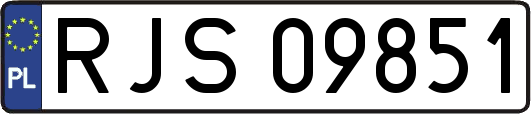 RJS09851