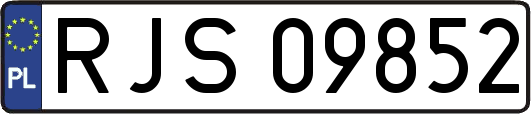 RJS09852