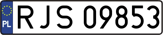 RJS09853