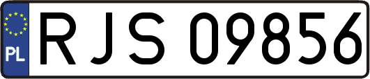RJS09856