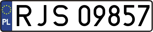 RJS09857