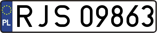 RJS09863