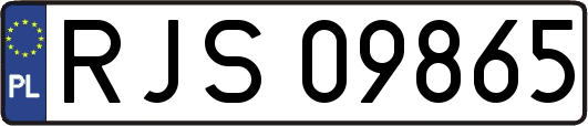 RJS09865