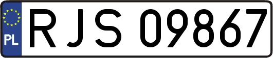RJS09867
