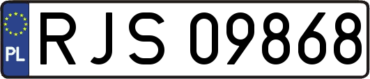RJS09868